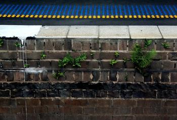 �Զ��齫��͸���۾���Ƶ��������ʡ20�����˽��꽫�������ⷿ����...